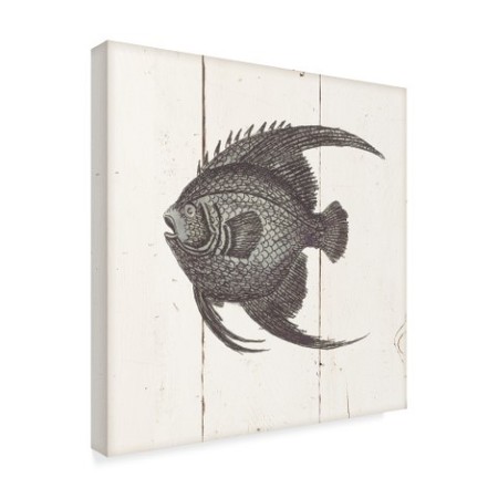 Trademark Fine Art Wild Apple Portfolio 'Fish Sketches IV Shiplap' Canvas Art, 14x14 WAP03134-C1414GG